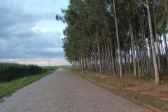 Apoio do Seagri desenvolve estradas rurais e incentiva agroindústrias no Noroeste