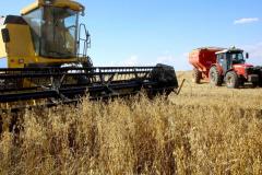 Adesão obrigatória de produtores rurais à nota fiscal eletrônica começa em 1º de maio