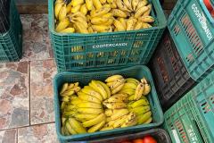 Dia dos Povos Indígenas: Secretaria da Agricultura atende comunidades em 24 municípios com ações de segurança alimentar