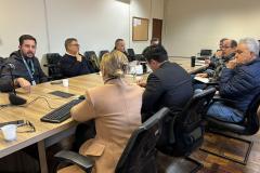 Grupo de Trabalho discute ações para prevenção e monitoramento da nova vespa-da-madeira