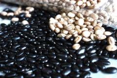 matéria sobre leguminosas