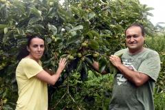 Produtores de 10 municípios do Paraná recebem recursos do BID para investirem em desenvolvimento sustentável