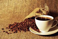 Vencedores do Prêmio Café Qualidade Paraná serão definidos dia 20