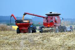 Valor Bruto da Produção Paranaense cresce 1,7% acima da inflação e vai a quase R$ 90 bilhões