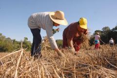 Secretaria da Agricultura investe recursos do governo do Estado em programas sociais no meio rural