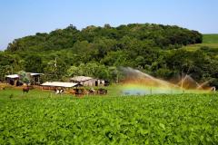 Programa de Microbacias no Sudoeste do Estado