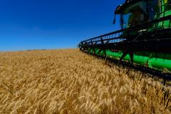 Desempenho do agronegócio em 2018