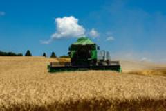 Safra paranaense de verão pode atingir 23 milhões de toneladas