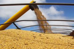 Deral identifica valorização nos preços da soja e milho pagos ao produtor na safra 2071/18