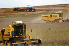 Deral divulga acompanhamento mensal da safra estimando em 39 milhões de toneladas de grãos a serem colhidos no ano agrícola 2017/18