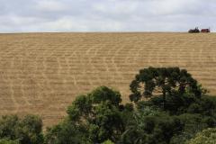 Acompanhamento do Deral sobre a safra de grãos do Paraná 2017/18