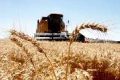 Cadeia produtiva pede aumento de 16% no preço mínimo