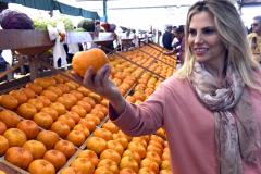 Ação vai possibilitar o escoamento da safra da região com mais segurança e agilidade