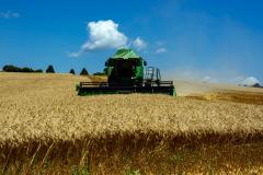 Paraná deve colher 36 milhões de toneladas de grãos