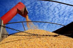 Safra de grãos do Paraná deve atingir 23,3 milhões de toneladas