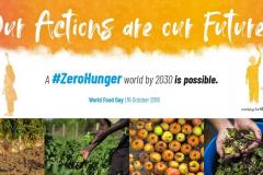 No Dia Mundial da Alimentação, Secretaria da Agricultura apresenta projeto para reduzir desperdício
