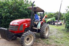 Renda de pequenos agricultores de Paranaguá aumenta 15%