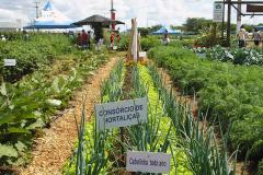 Parceria entre Emater e Ocepar incentiva pequenas cooperativas