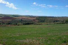 Acerto de pendências foi autorizado por lei federal, que estabeleceu o prazo para quitação. Elas incluem os financiamentos dos Programas Banco da Terra e Crédito Fundiário. 