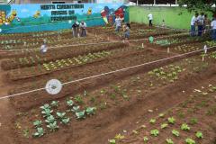 Programa Hortas Comunitárias inaugura segunda unidade