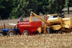 A falta de chuvas e as altas temperaturas das últimas semanas repercutiram na análise da primeira safra e geraram uma reavaliação do potencial produtivo no Paraná.