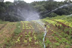 Governo vai fortalecer apoio às pequenas cooperativas