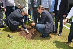 Audiência pública discutiu política nacional de erva-mate