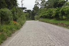 Pavimentação da Estrada Nova Tirol será concluída neste semestre