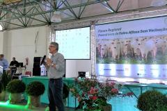 Paraná inicia os fóruns sobre o fim da vacinação contra aftosa