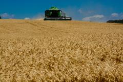 Valor Bruto da Produção do Paraná chega a R$ 89,6 bilhões