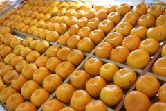 Município produz em torno de 50 mil toneladas por ano, que equivale a 46% do total de tangerinas produzidas no Estado. Cerca de 70% da população da cidade (18 mil habitantes) depende economicamente da fruta.  