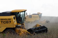 Safra de verão poderá ter mais um recorde, se clima não prejudicar as lavouras