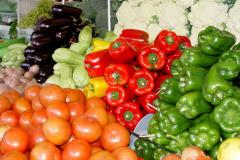 Agricultura vai intensificar a agroecologia no Paraná