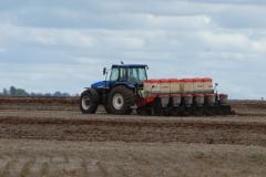 Previsão de safra 2016/17