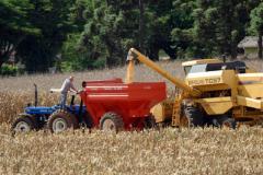 Perspectivas da Agricultura para 2017