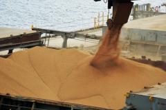 Participação do agronegócio nas exportações paranaenses em 2016