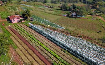 Banner Central - INCLUSÃO PRODUTIVA  DA AGRICULTURA FAMILIAR