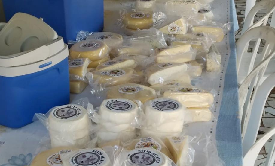 Produtores de queijo do Paraná participam de concurso nacional