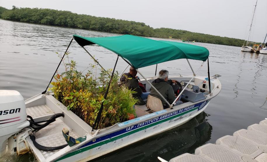 Seab participa de ação do Programa Paraná Mais Verde