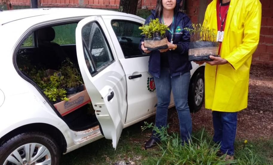 Seab participa de ação do Programa Paraná Mais Verde