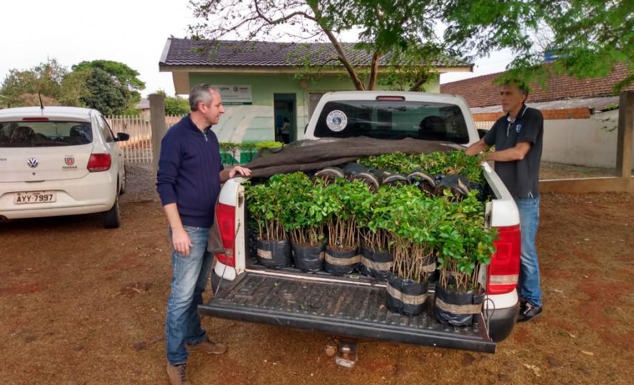 Seab participa de ação do Programa Paraná Mais Verde