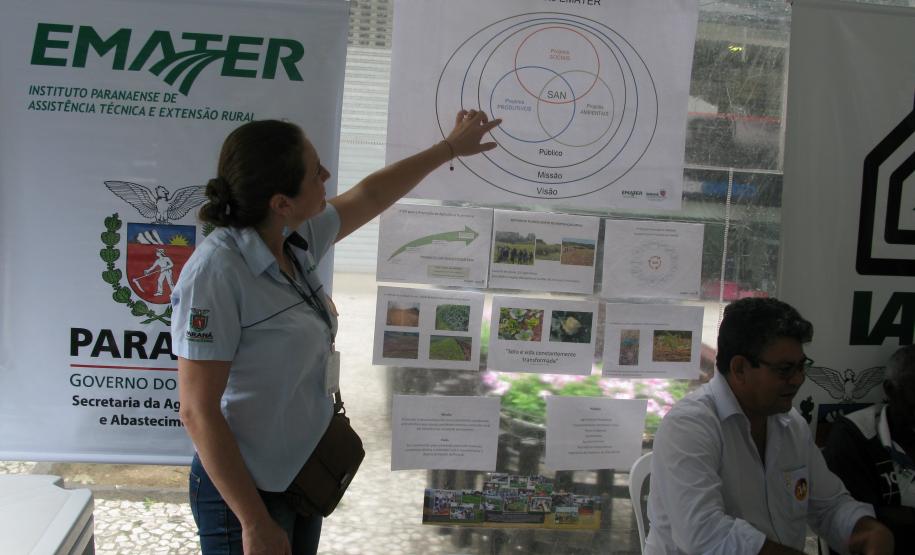 a_engenheira_agronoma_do_emater_daniele_martins_sandri_passava_do_ensinamento_sobre_as_hortas