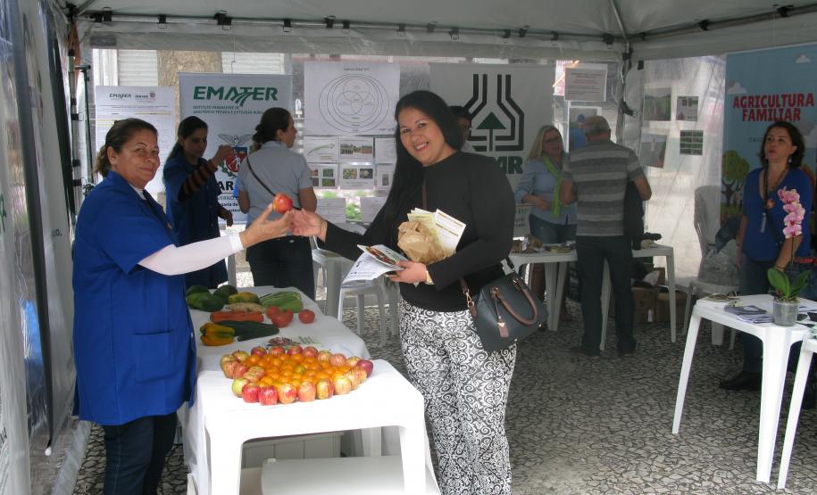 A professora Sirlei Martins que criou horta no Cmei Iracema