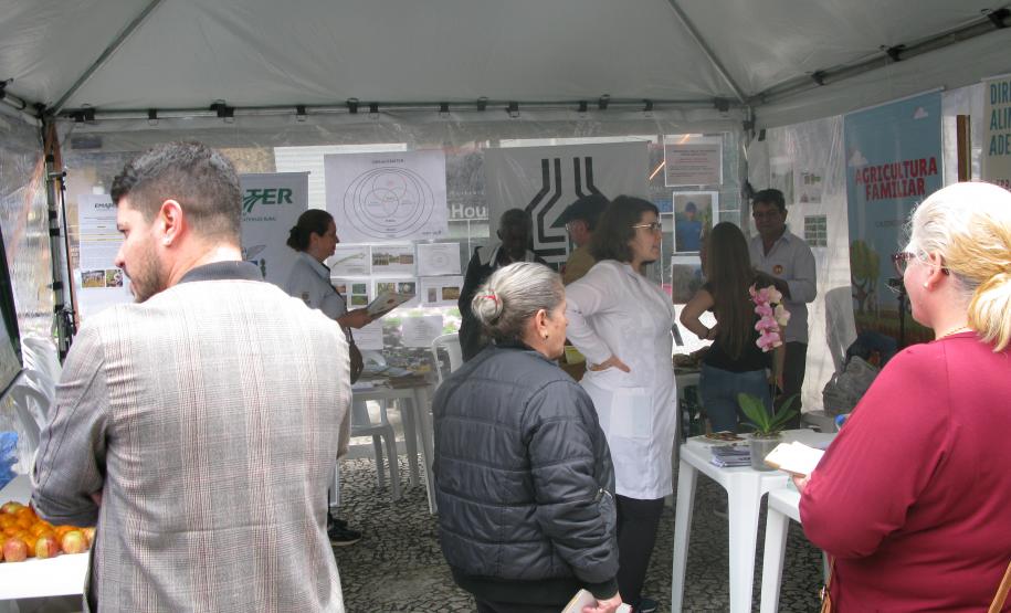 Evento do Dia Mundial da Alimentação foi realizado no Calçadão da Rua XV de Novembro, em Curitiba.