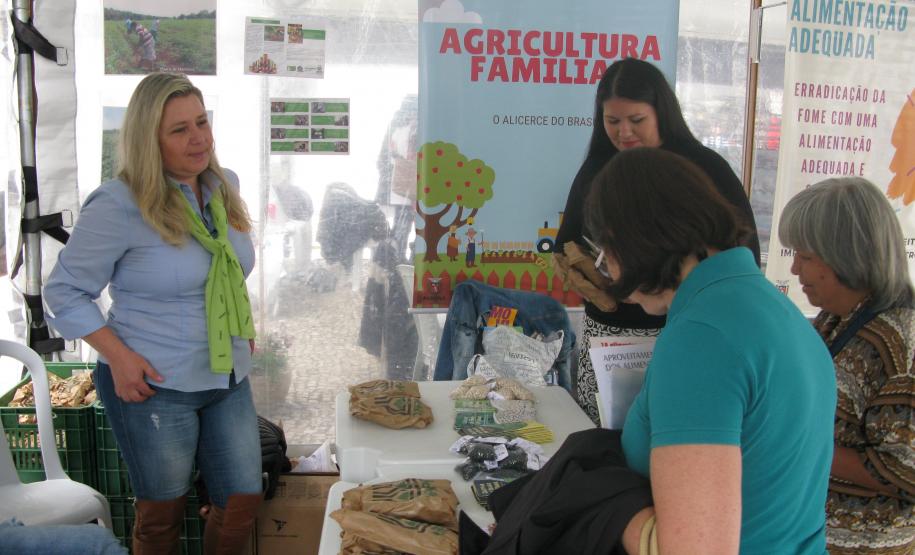Pesquisadora do Iapar Claudine de Bona