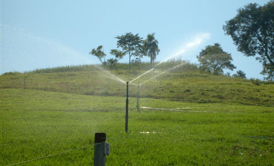 Uso de tensiômetro garante eficiência da irrigação no campo