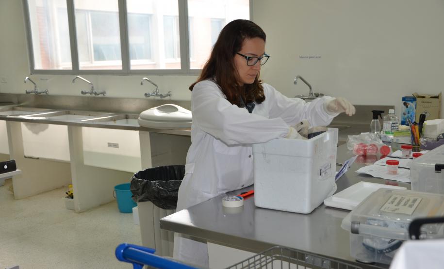 Adapar realiza cerca de 100 mil exames sanitários por ano