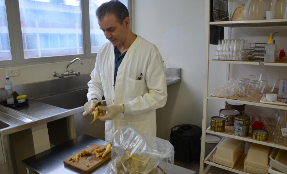 Adapar realiza cerca de 100 mil exames sanitários por ano