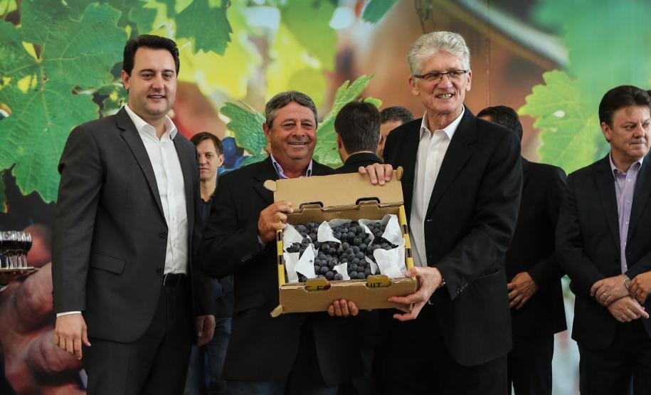 O governador Carlos Massa Ratinho Junior e o secretário da Agricultura e do Abastecimento, Noberto Ortigara, lançaram, no Palácio Iguaçu, o programa Revitis, destinado a estimular a produção de uvas no Paraná.