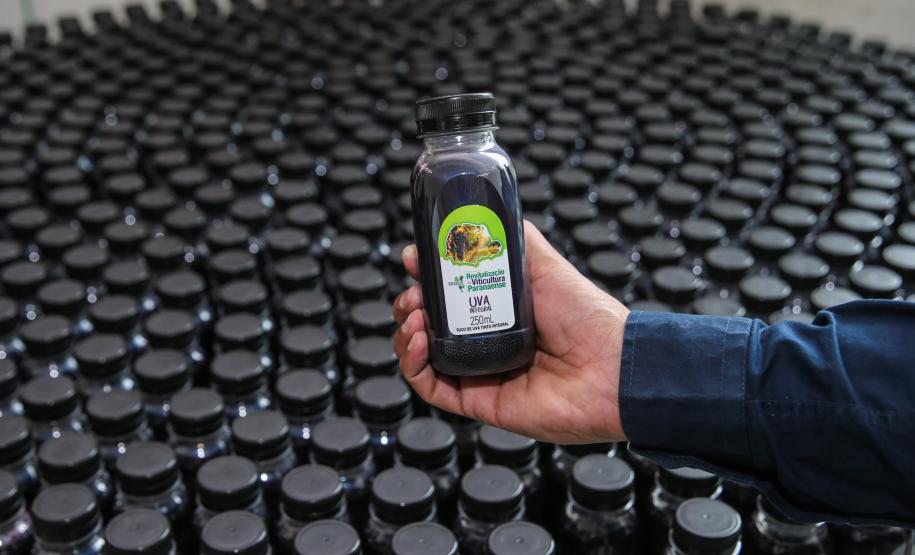 O governador Carlos Massa Ratinho Junior e o secretário da Agricultura e do Abastecimento, Noberto Ortigara, lançaram, no Palácio Iguaçu, o programa Revitis, destinado a estimular a produção de uvas no Paraná.